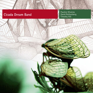 Cicada Rhythm - Everywhere I Go [CD] – New West Records